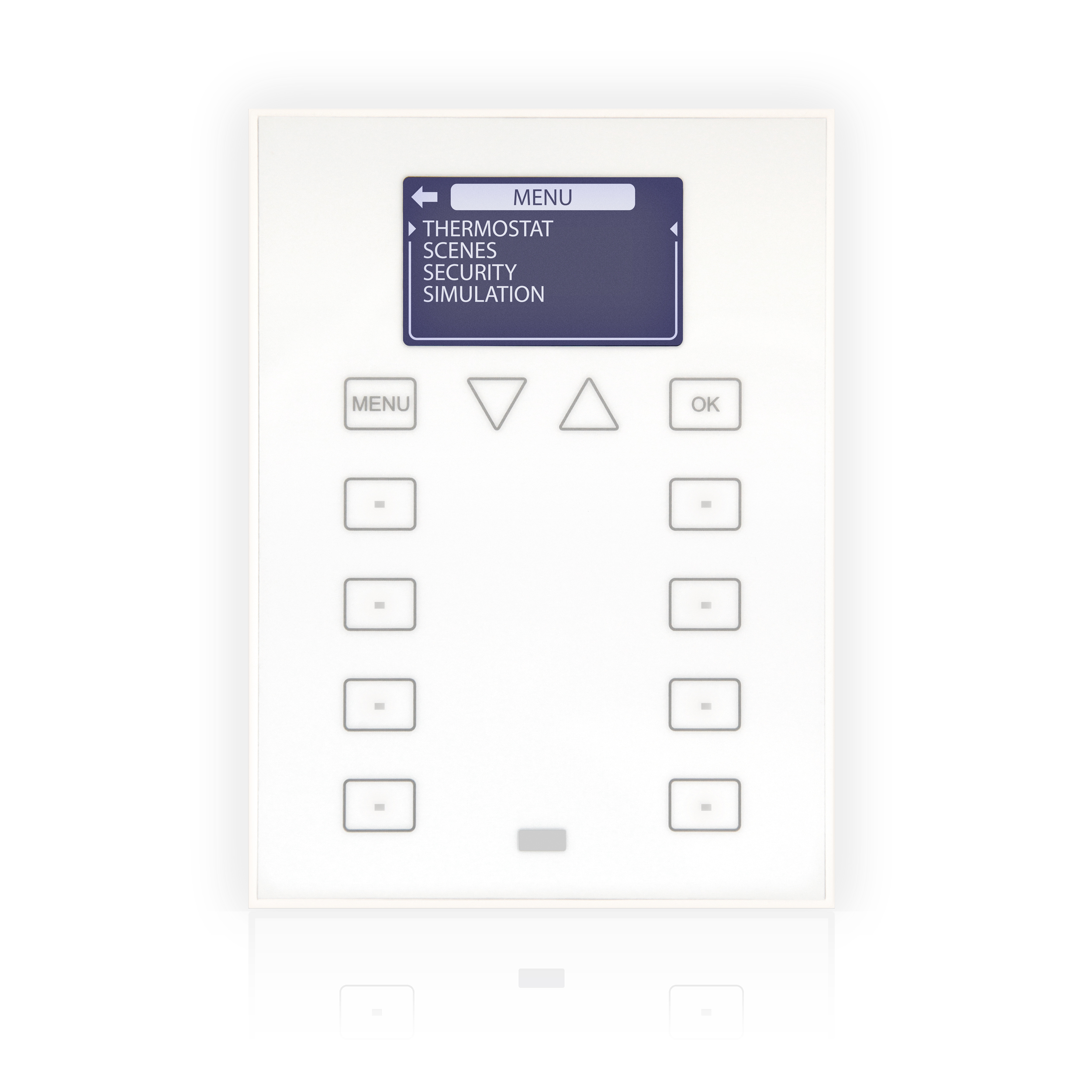 ZEN KNX ZAS Analog Screen White (ZN