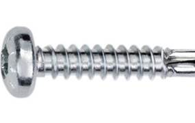 ZEBRA PIAS CK VZ AW20 4,2X16