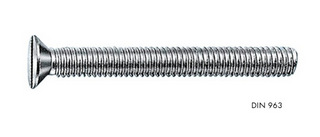 SHR-PLVZK-DIN963-4.8-(A2K)-M4X50