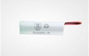 6231 NOODVERLICHTINGSACCU 2,4V 4,5A